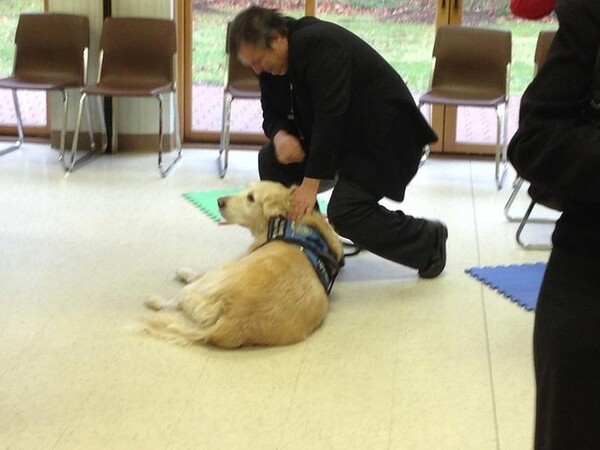 Τα Golden Retrievers παρηγορούν τους κατοίκους του Newtown