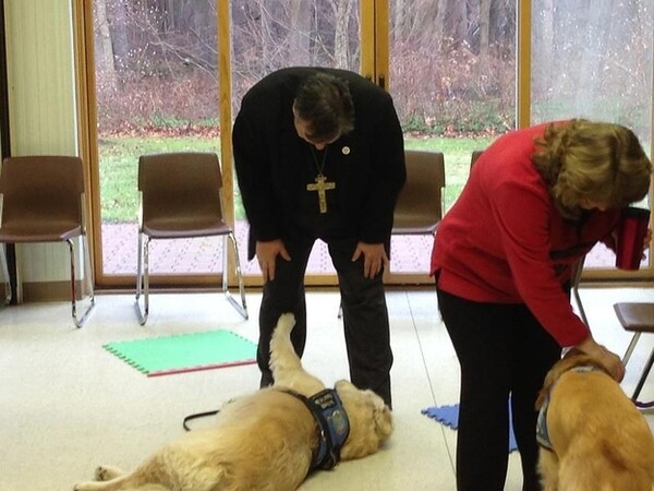 Τα Golden Retrievers παρηγορούν τους κατοίκους του Newtown