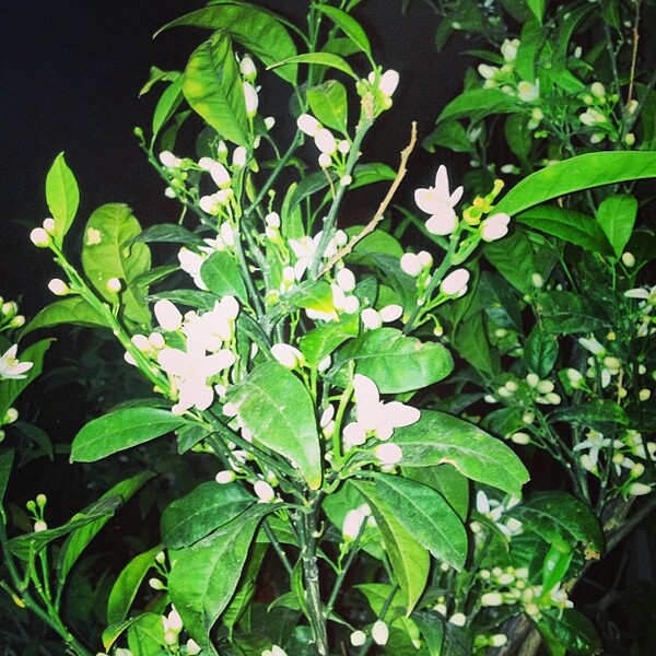 INSTA#LIFO: Κυριακή 7 Απριλίου