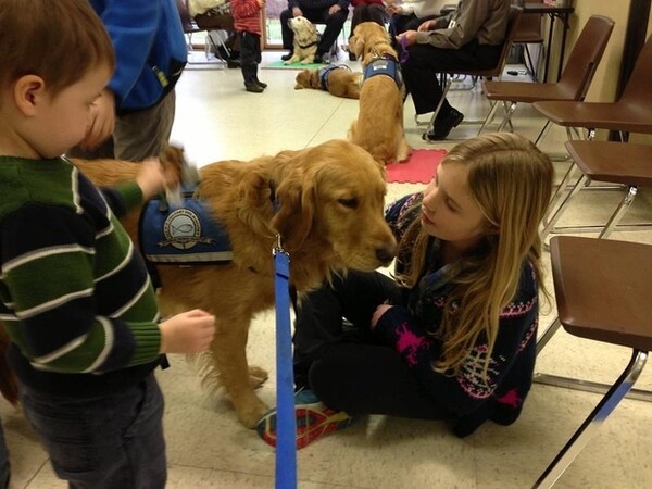 Τα Golden Retrievers παρηγορούν τους κατοίκους του Newtown