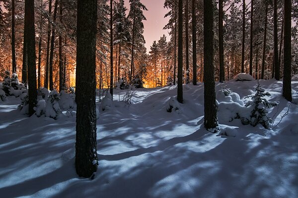 11 φωτογραφίες από το χειμώνα της Φινλανδίας
