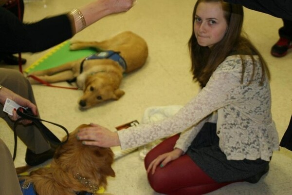 Τα Golden Retrievers παρηγορούν τους κατοίκους του Newtown