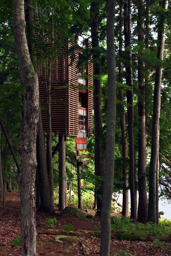 9 ασύλληπτα σπίτια πάνω σε δέντρα