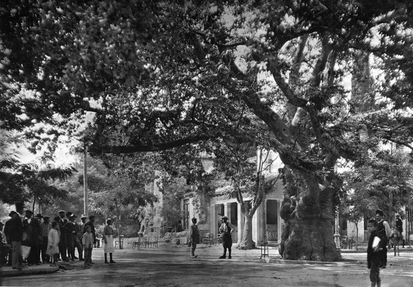 59 αριστουργηματικές φωτογραφίες από την Ελλάδα (1903-1920)