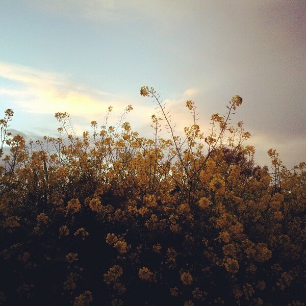 INSTA#LIFO: Κυριακή 7 Απριλίου