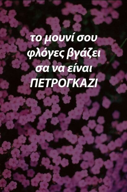 ''Σταματήστε να γράφετε γλυκανάλατες μαλακίες πάνω από άκυρες φωτογραφίες ρε ...''