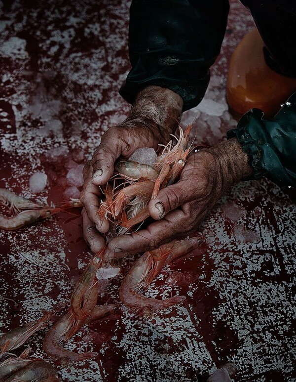 «Fisherman's Blues»: Όταν οι ψαράδες μελαγχολούν