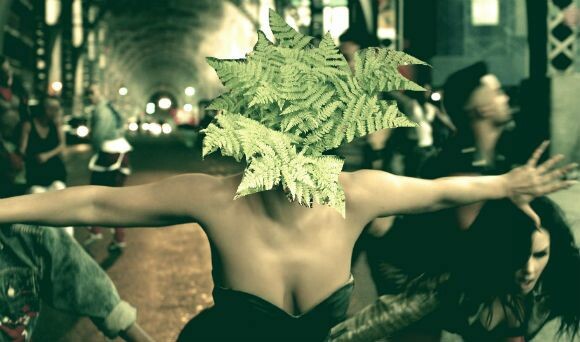Lady Gaga: Το φυτό