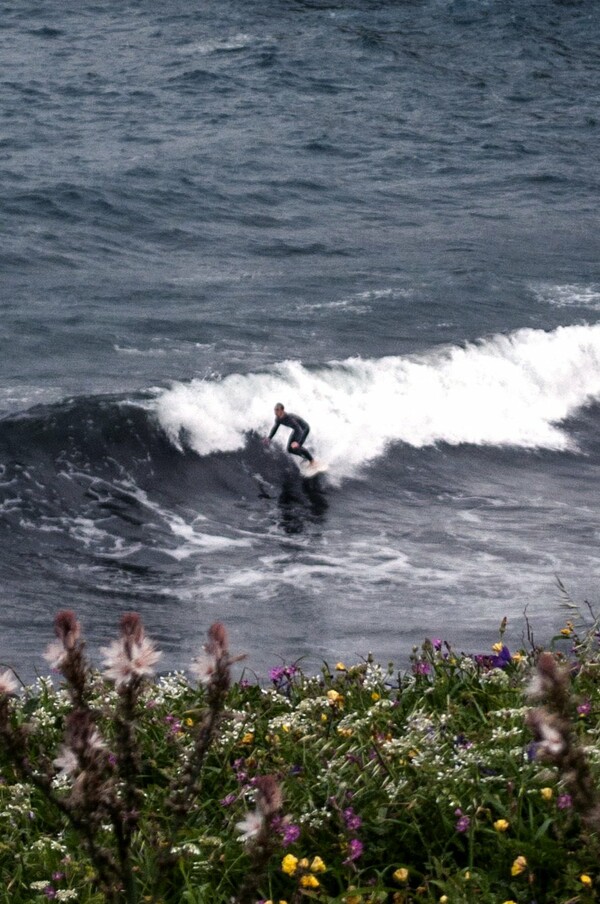 Oι surfers της Τήνου