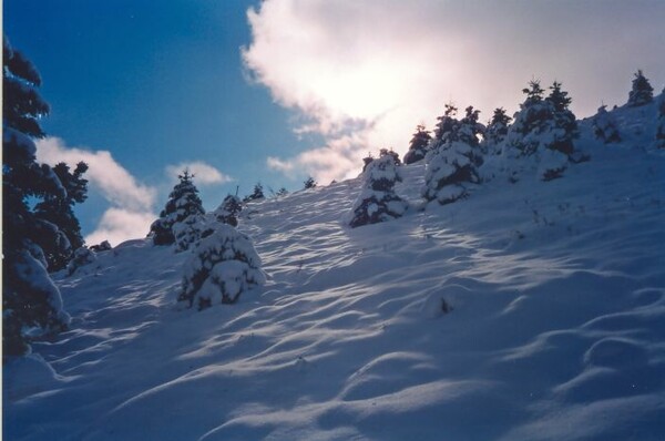 Winter...
