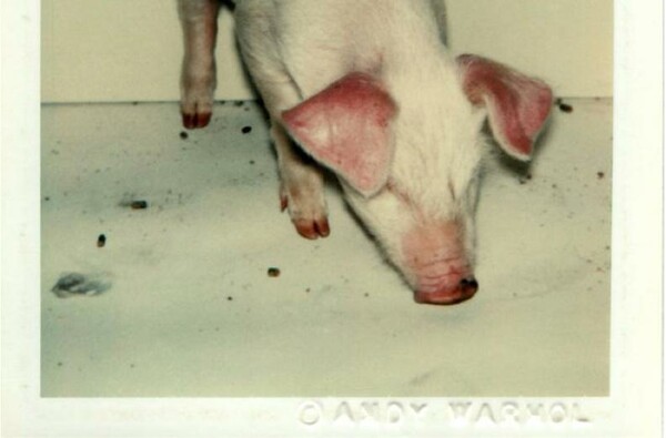 26 άγνωστες polaroids του Andy Warhol