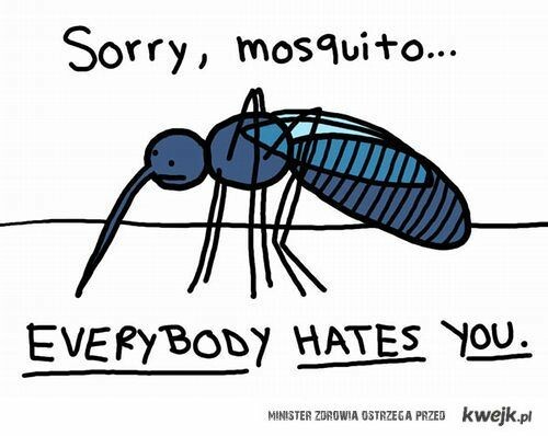 Μολυσμένο κουνούπι : Λαχνός ο κίνδυνος