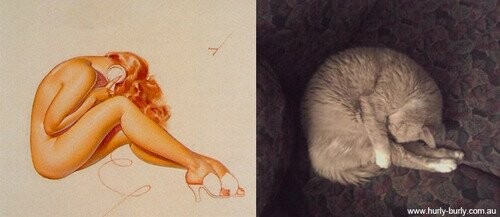 Γάτες που μοιάζουν με κορίτσια pin-up