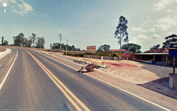 Οι 20 πιο τρομαχτικές εικόνες του Google Street View