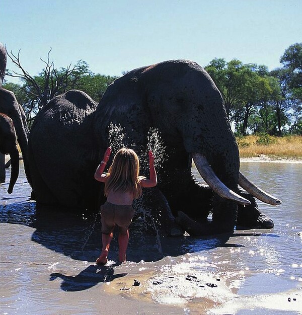 Tippi of Africa: Το κορίτσι και τα άγρια ζώα