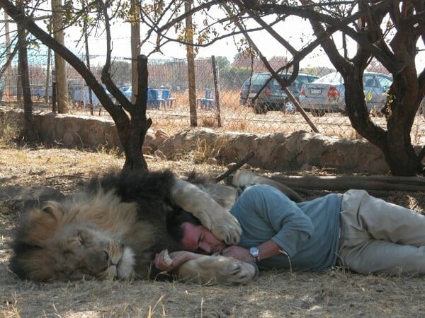 Kevin Richardson: Ο γητευτής των λιονταριών