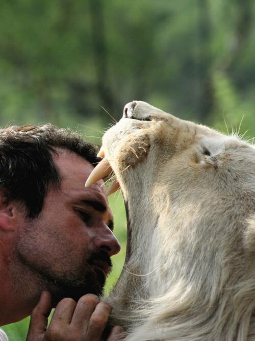 Kevin Richardson: Ο γητευτής των λιονταριών