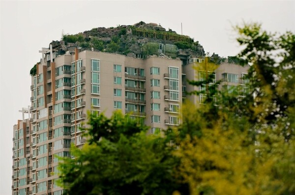 Κινέζος έχτισε ολόκληρο βουνό στην ταράτσα της πολυκατοικίας του