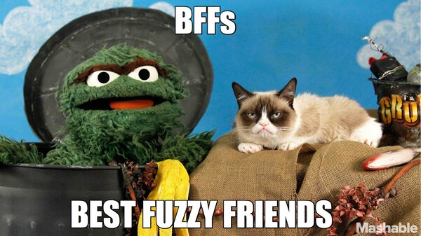 Oscar the Grouch vs. Grumpy Cat 