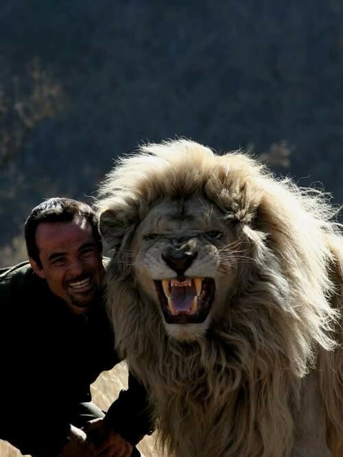 Kevin Richardson: Ο γητευτής των λιονταριών