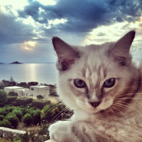 INSTA#LIFO: Τρίτη 11 Ιουνίου
