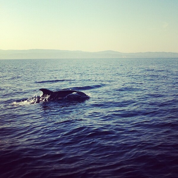 INSTA#LIFO: Δευτέρα 17 Ιουνίου