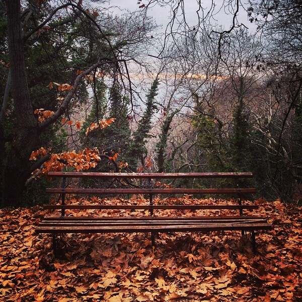INSTA#LIFO: Πέμπτη 16 Ιανουαρίου