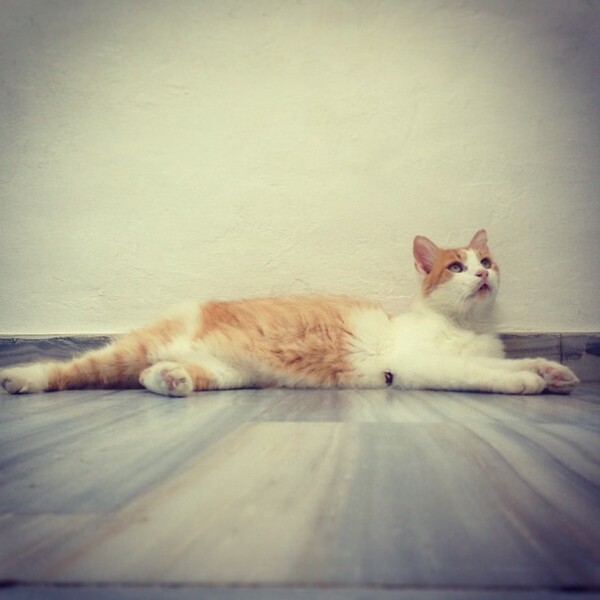 INSTA#LIFO: Πέμπτη 29 Αυγούστου