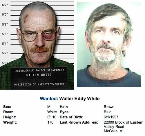 Ο Πραγματικός Walter White (ντοκιμαντέρ)