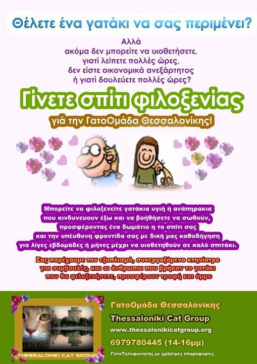 Εθελοντισμός στην Θεσσαλονίκη #3: Σώζοντας κακοποιημένες γάτες