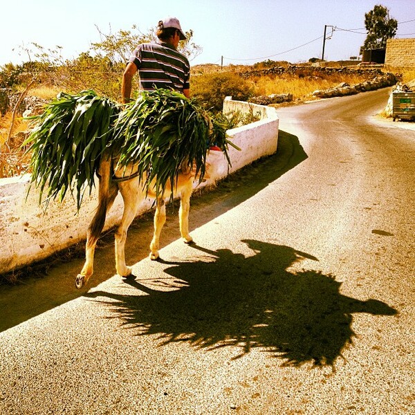 INSTA#LIFO: Πέμπτη 29 Αυγούστου