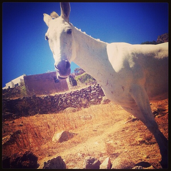 INSTA#LIFO: Παρασκευή 23 Αυγούστου