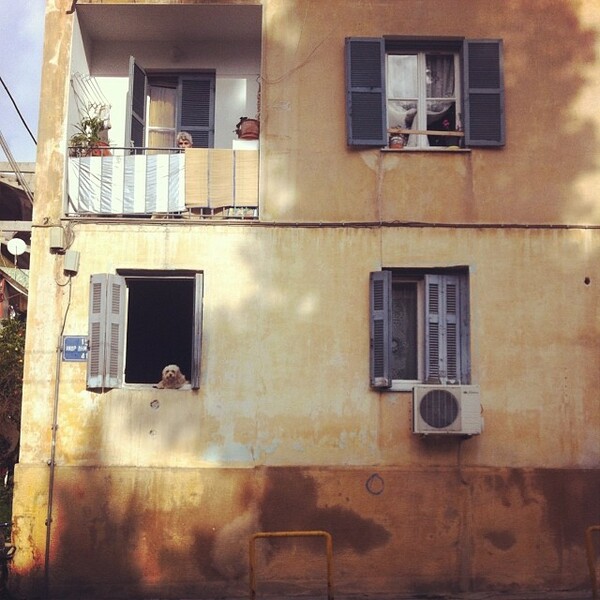 INSTA#LIFO:Δευτερα 20 Ιανουαρίου