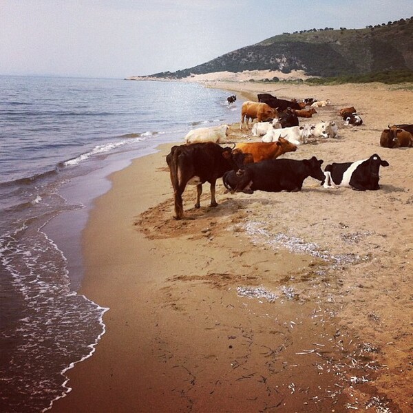 INSTA#LIFO: Τετάρτη 10 Ιουλίου