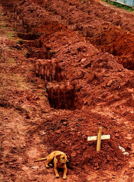 9 από τις πιο συγκινητικές φωτογραφίες του κόσμου