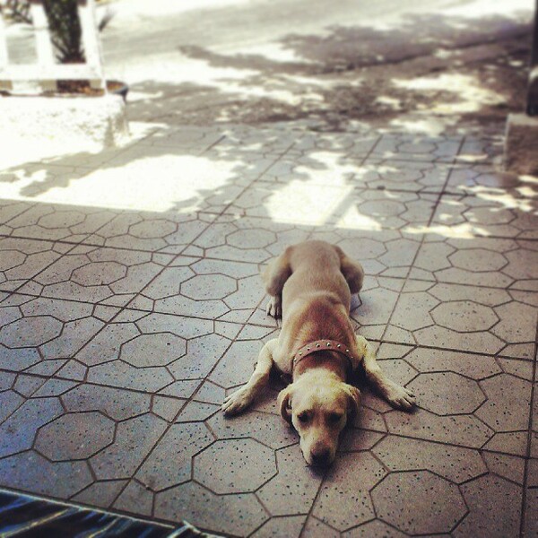 INSTA#LIFO: Δευτέρα 1 Ιουλίου