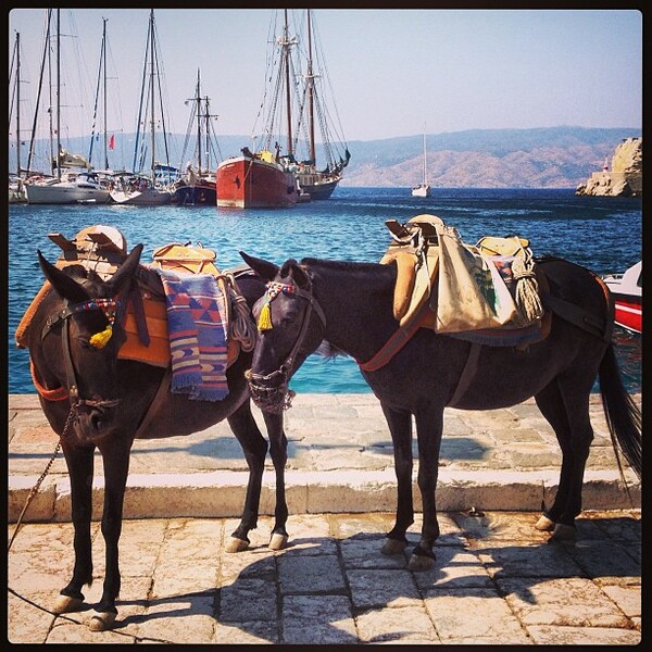INSTA#LIFO: Τρίτη 13 Αυγούστου