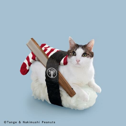 Sushi Cats: To πιο χαριτωμένο, ακαταλαβίστικο wtf των ημερών .