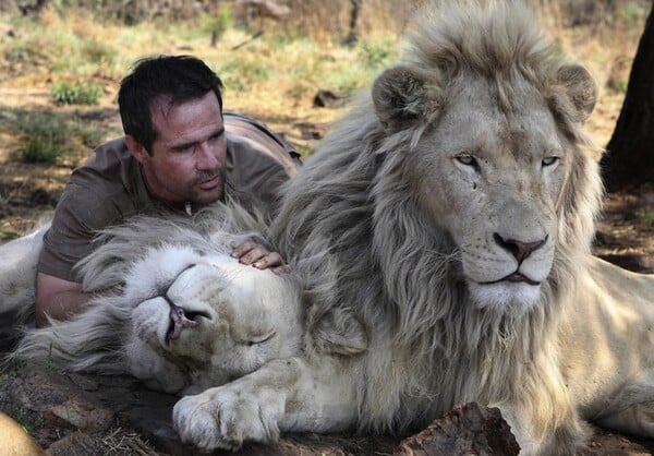Kevin Richardson: Ο γητευτής των λιονταριών