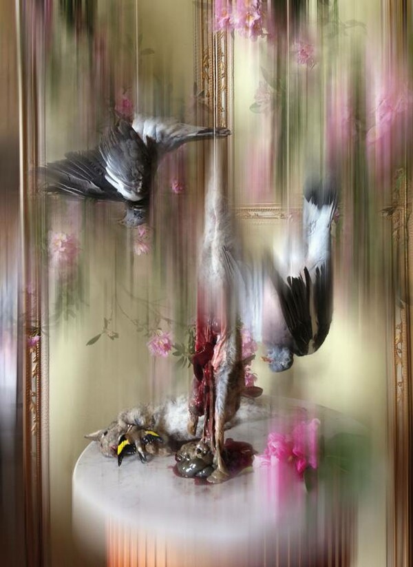 Isabella Blow: Fashion Galore!