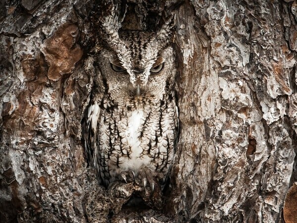 National Geographic: Οι 11 καλύτερες ταξιδιωτικές φωτογραφίες 
