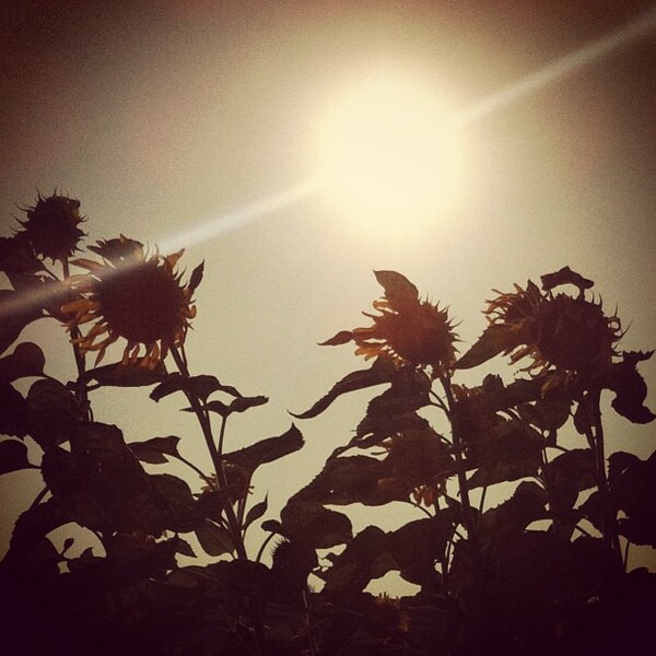 INSTA#LIFO: Τρίτη 13 Αυγούστου