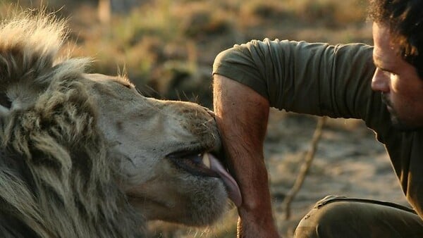 Kevin Richardson: Ο γητευτής των λιονταριών