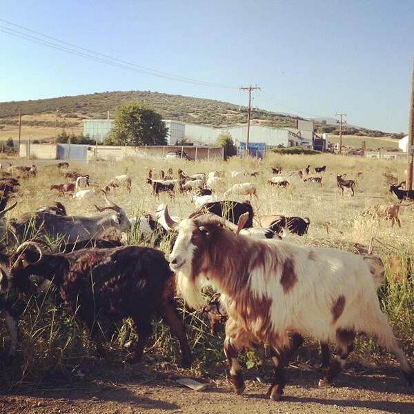 Μια χρονιά στο instagram