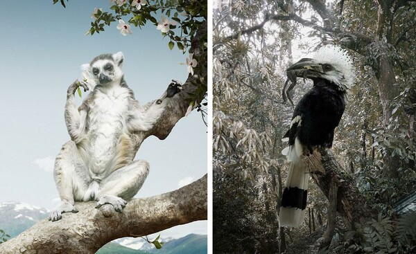 Φωτογράφος κάνει τα ζώα να μοιάζουν μαγικά