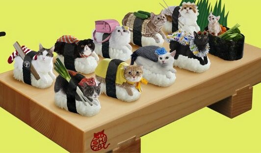 Sushi Cats: To πιο χαριτωμένο, ακαταλαβίστικο wtf των ημερών .