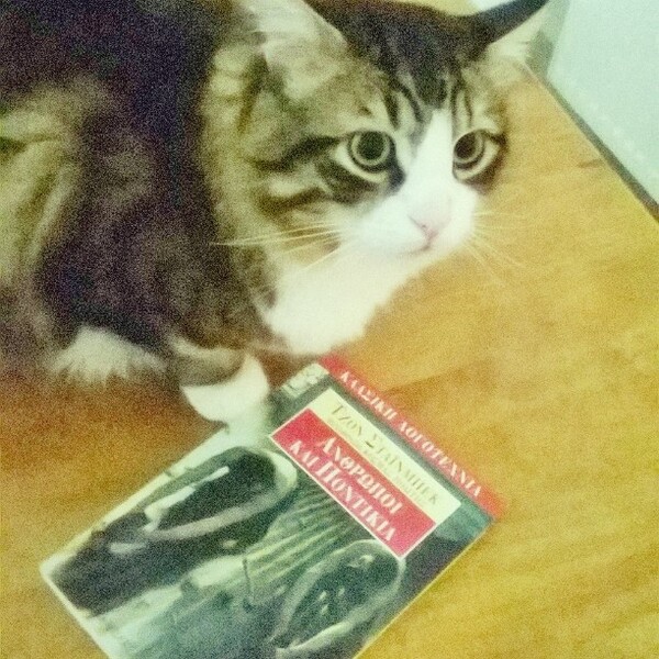 #LIFOPETS (25): Αυτά είναι τα κατοικίδιά μας