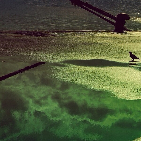 INSTA#LIFO: Σάββατο 7 Δεκεμβρίου
