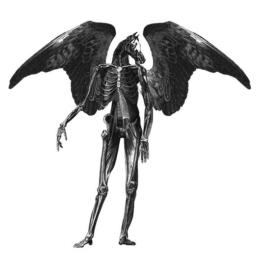 Ο Dan Hillier ξαναζωντανεύει σχέδια αιώνων