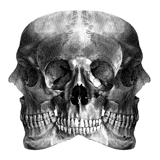 Ο Dan Hillier ξαναζωντανεύει σχέδια αιώνων